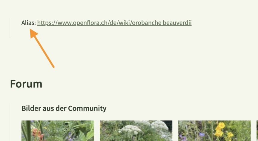 The alias URL can be found at the end of a wiki article, just before the images and discussions about the taxon.