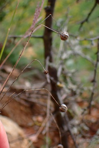 La Neuveville (BE), 04.11.2025