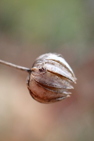 La Neuveville (BE), 04.11.2025