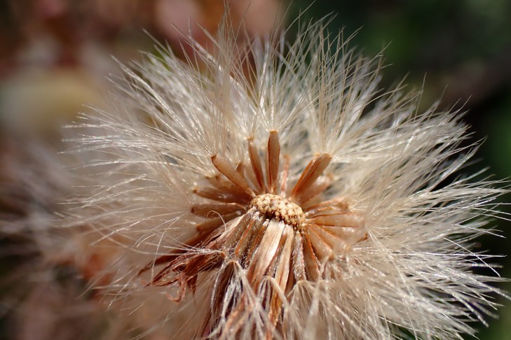 Art 3. Mont Vully (FR), 18.11.2025