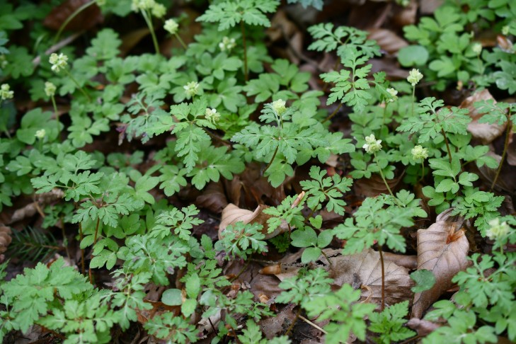 10.04.2026 Gesamtsituation