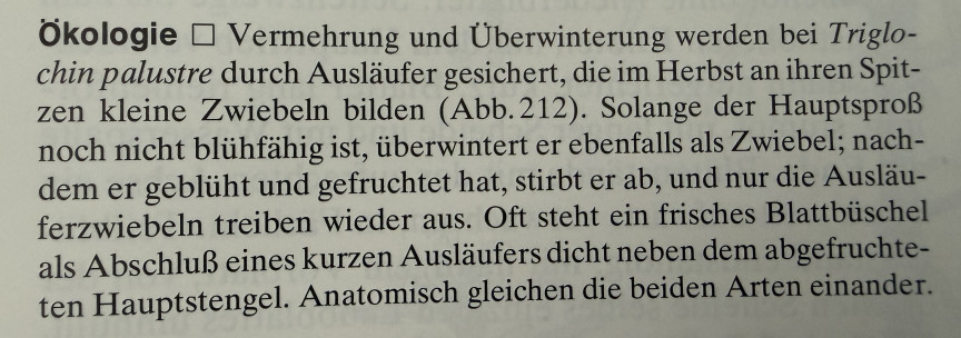 Info aus 