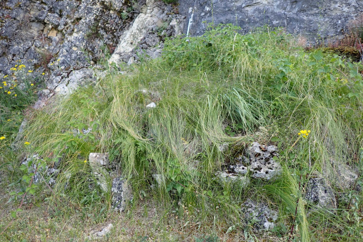 Valangin (NE), 19.06.2026