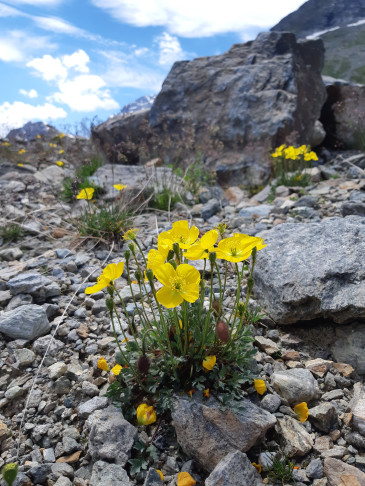 Lago Bianco, 09.07.2020