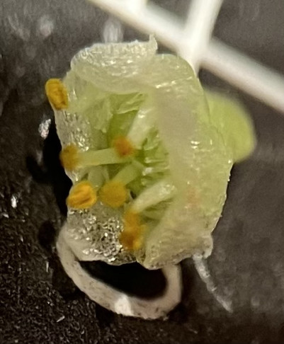 01.10.2026