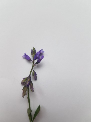 20.06.2023