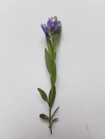 20.06.2023
