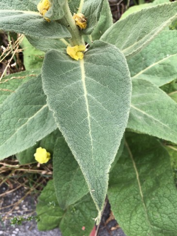 03.07.2023 Blatt weiter oben