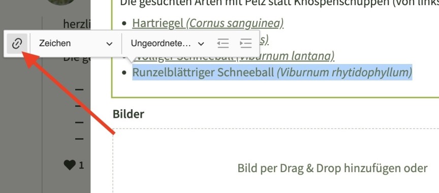 Im kleinen Menü ganz links aufs