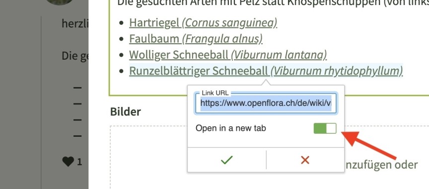 Den Link einfügen - und festlegen, ob er in einem neuen tab geöffnet werden soll.
