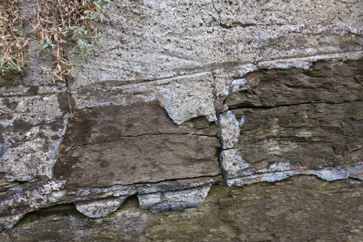 30.03.2024 Oberhofen am Thunersee