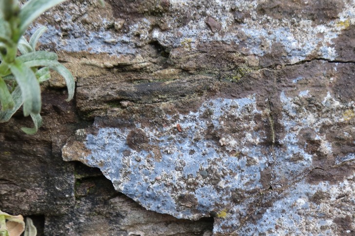 30.03.2024 Oberhofen am Thunersee