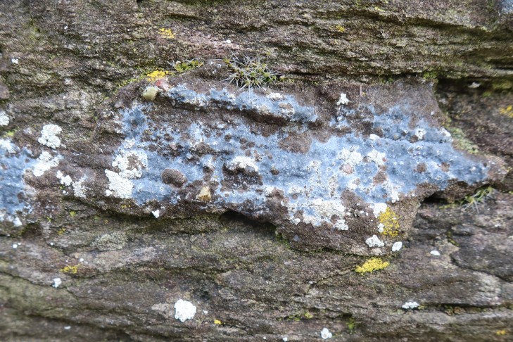 30.03.2024 Oberhofen am Thunersee