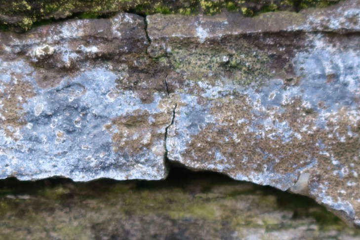 01.04.2024 Oberhofen am Thunersee