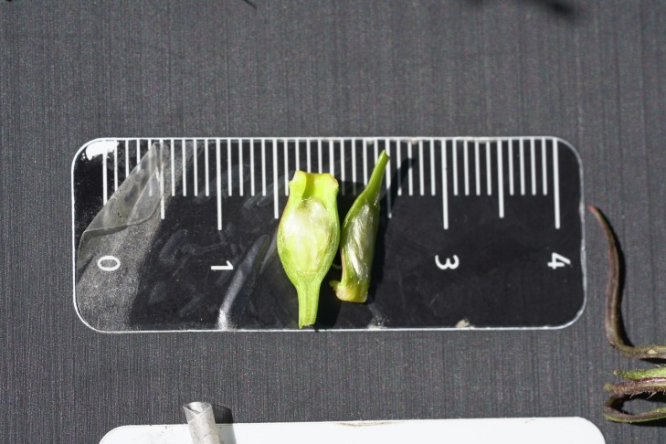 13.06.2024