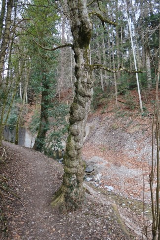 22.02.2025 Hilterfingen