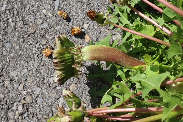 31.03.2025 Oberhofen am Thunersee