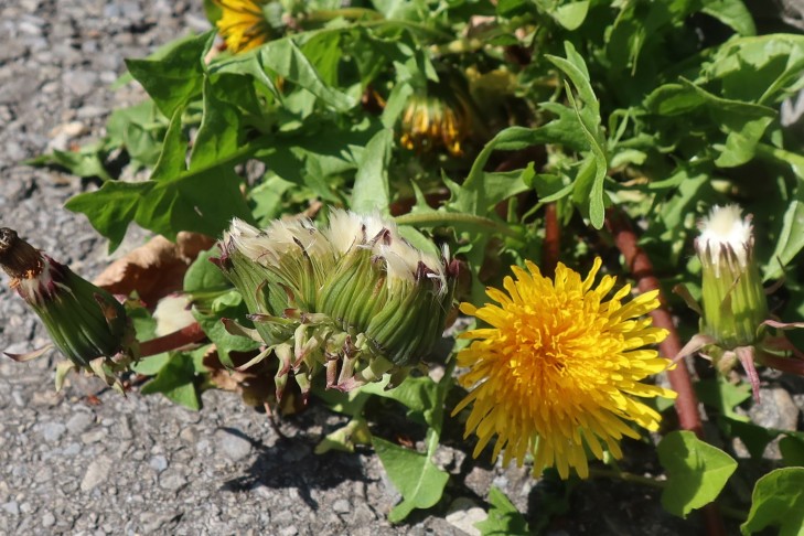 31.03.2025 Oberhofen am Thunersee