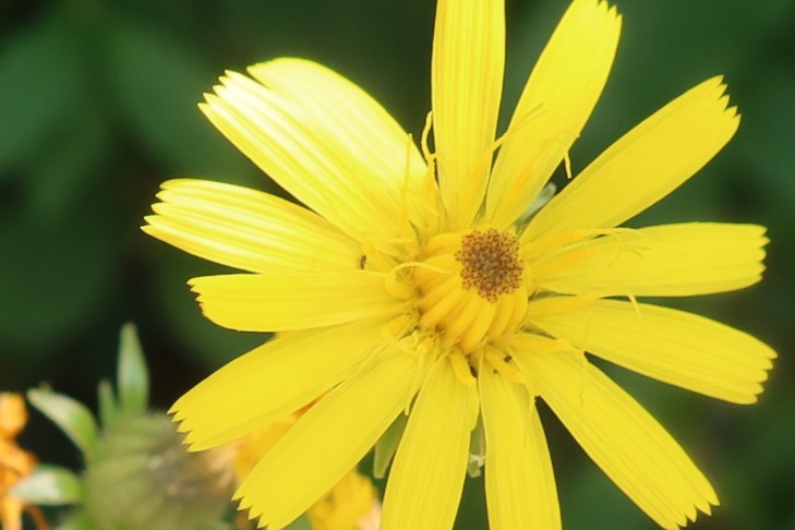 19.07.2025 Oberhofen