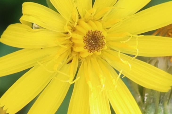 19.07.2025 Oberhofen