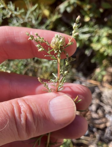 Leuk (VS), 17.10.2025