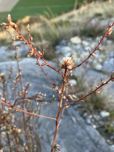 Leuk (VS), 17.10.2025