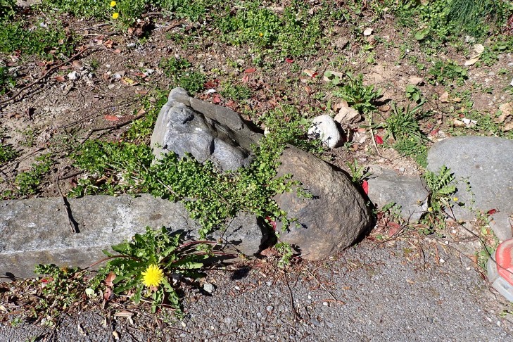 Standort nicht wirklich speziell... Caslano (TI), 31.03.2026