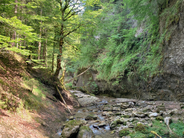 Das Habitat. 28.06.2026