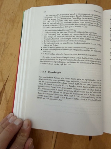 Artbeschreibung z.B hier Nitella flexilis 8